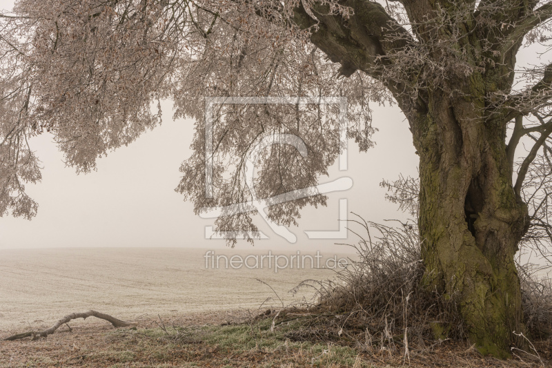 frei wählbarer Bildausschnitt für Ihr Bild auf Schieferplatte