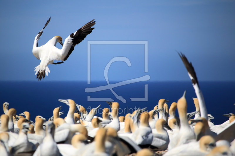 frei wählbarer Bildausschnitt für Ihr Bild auf Schieferplatte