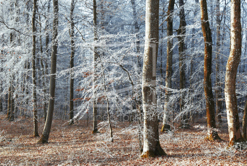 frei wählbarer Bildausschnitt für Ihr Bild auf Schieferplatte