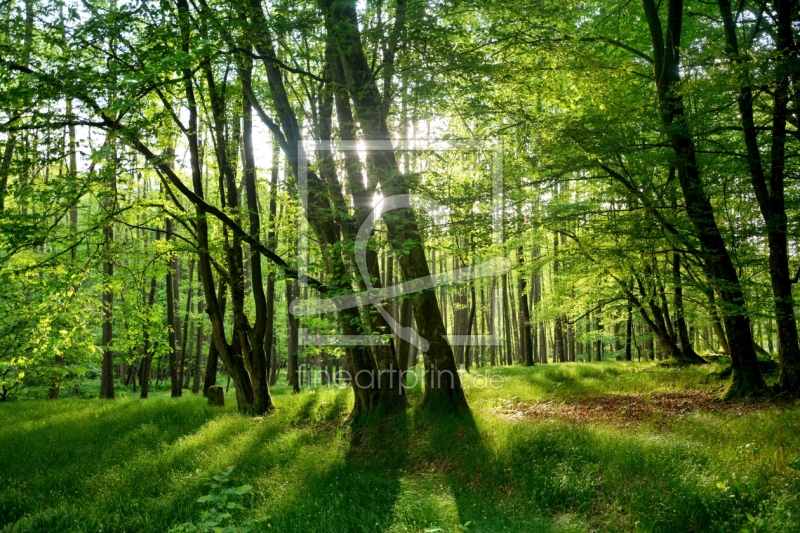 frei w&auml;hlbarer Bildausschnitt f&uuml;r Ihr Bild auf Schieferplatte