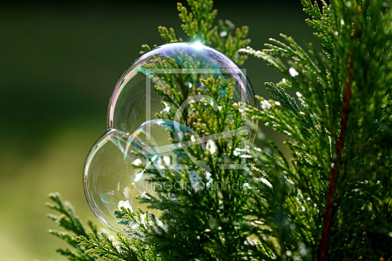 frei wählbarer Bildausschnitt für Ihr Bild auf Schieferplatte