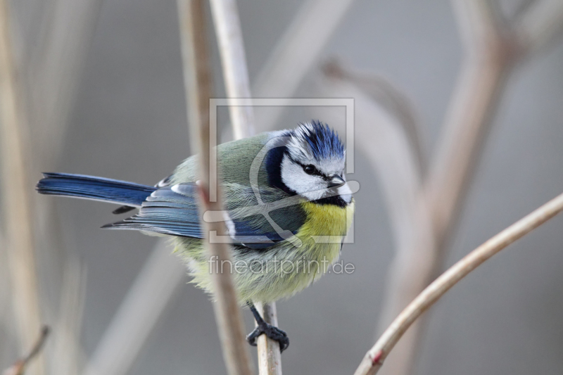 frei wählbarer Bildausschnitt für Ihr Bild auf Schieferplatte