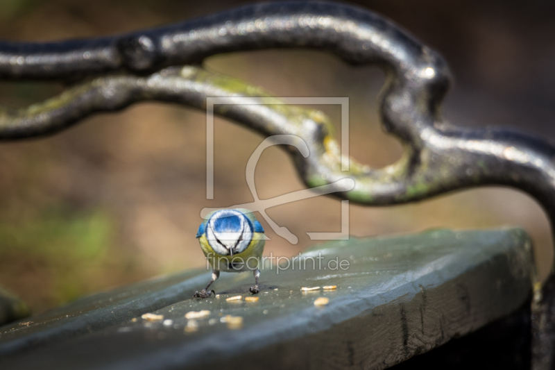 frei wählbarer Bildausschnitt für Ihr Bild auf Schieferplatte