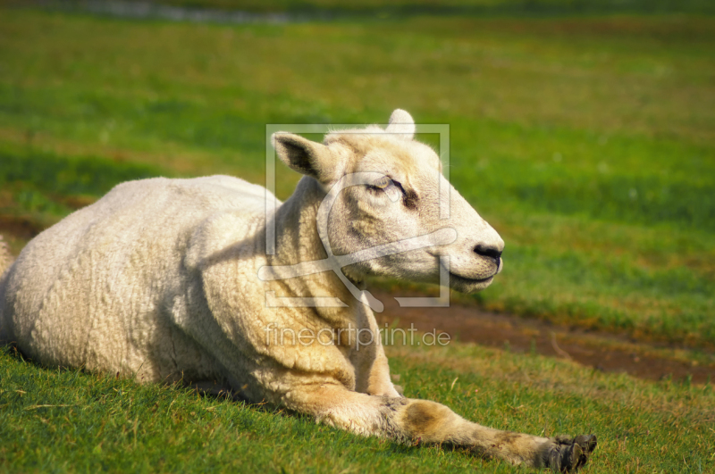 frei wählbarer Bildausschnitt für Ihr Bild auf Schieferplatte