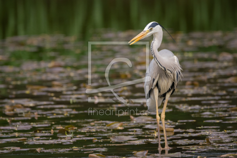 frei w&auml;hlbarer Bildausschnitt f&uuml;r Ihr Bild auf Schieferplatte