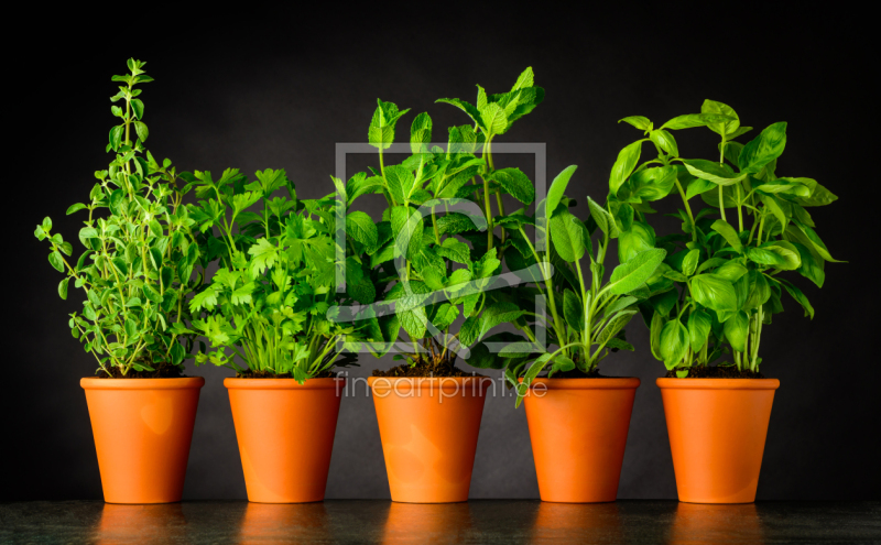 frei wählbarer Bildausschnitt für Ihr Bild auf Schieferplatte