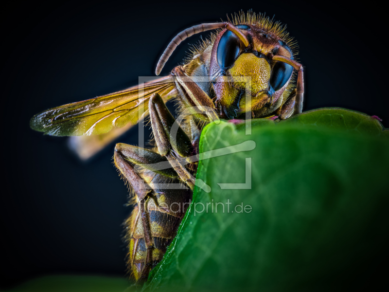 frei wählbarer Bildausschnitt für Ihr Bild auf Schieferplatte