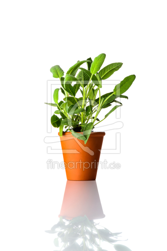 frei w&auml;hlbarer Bildausschnitt f&uuml;r Ihr Bild auf Schieferplatte