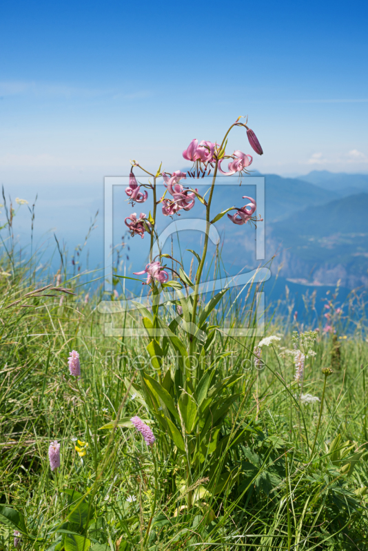 frei wählbarer Bildausschnitt für Ihr Bild auf Schieferplatte
