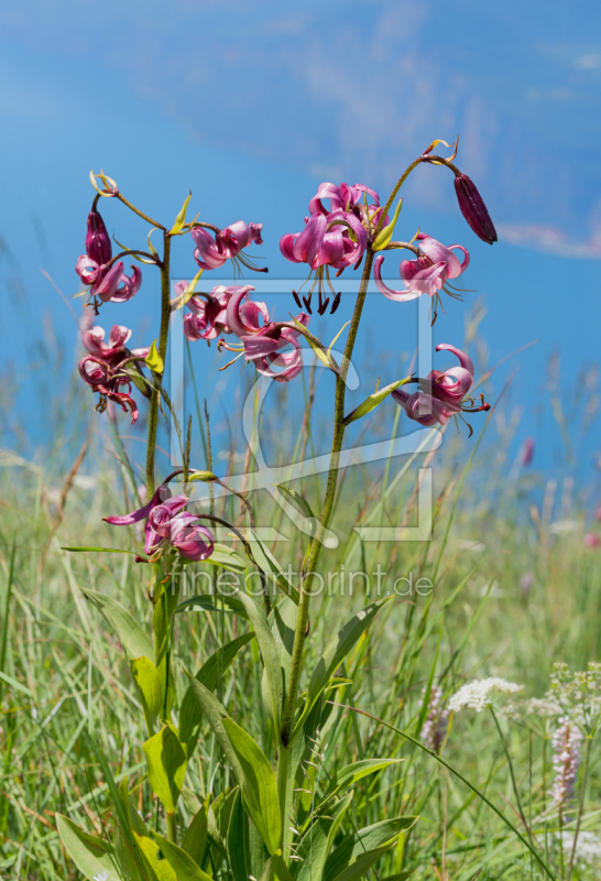 frei wählbarer Bildausschnitt für Ihr Bild auf Schieferplatte