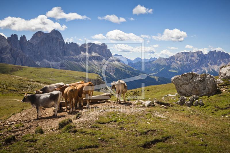 frei wählbarer Bildausschnitt für Ihr Bild auf Schieferplatte