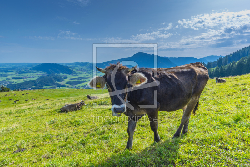 frei wählbarer Bildausschnitt für Ihr Bild auf Schieferplatte