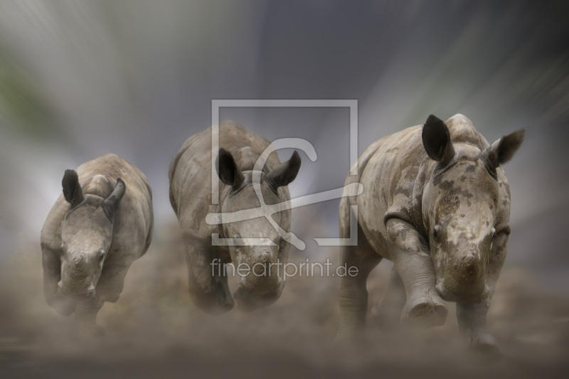 frei w&auml;hlbarer Bildausschnitt f&uuml;r Ihr Bild auf Schieferplatte