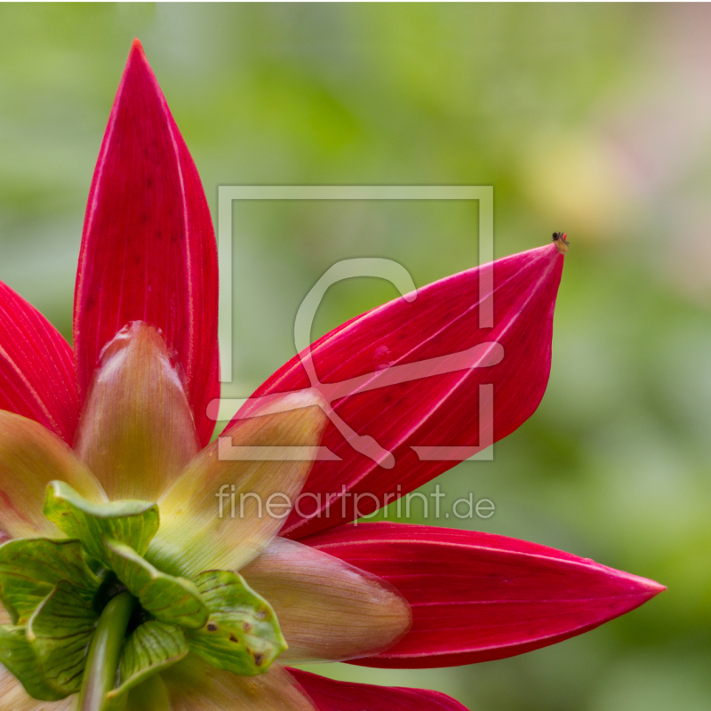 frei w&auml;hlbarer Bildausschnitt f&uuml;r Ihr Bild auf Schieferplatte