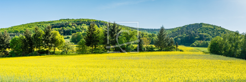 frei wählbarer Bildausschnitt für Ihr Bild auf Schieferplatte