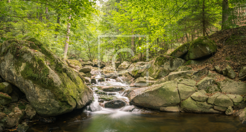 frei wählbarer Bildausschnitt für Ihr Bild auf Schieferplatte