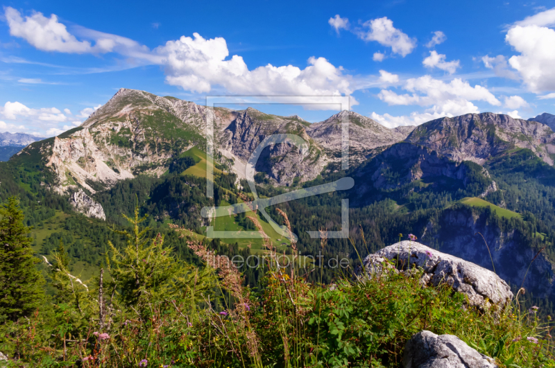 frei wählbarer Bildausschnitt für Ihr Bild auf Schieferplatte