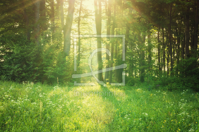 frei w&auml;hlbarer Bildausschnitt f&uuml;r Ihr Bild auf Schieferplatte