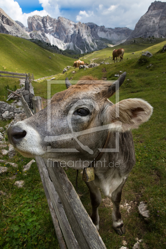 frei wählbarer Bildausschnitt für Ihr Bild auf Schieferplatte