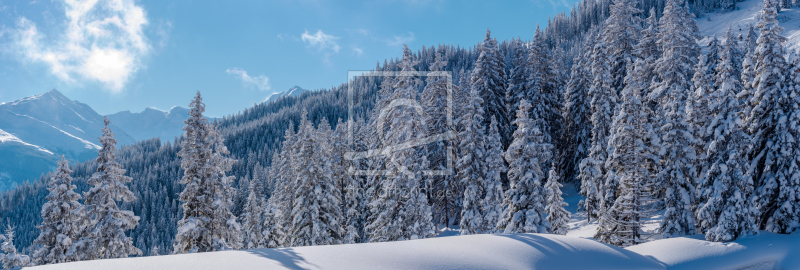 frei wählbarer Bildausschnitt für Ihr Bild auf Schieferplatte