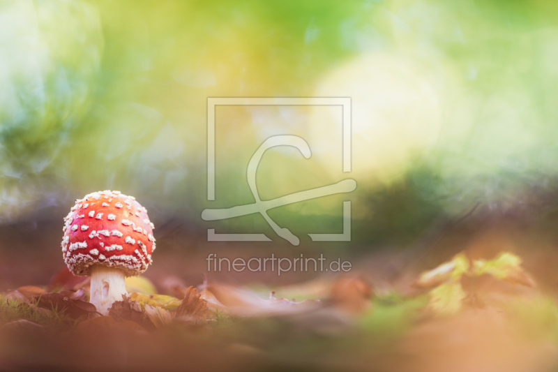 frei w&auml;hlbarer Bildausschnitt f&uuml;r Ihr Bild auf Schieferplatte