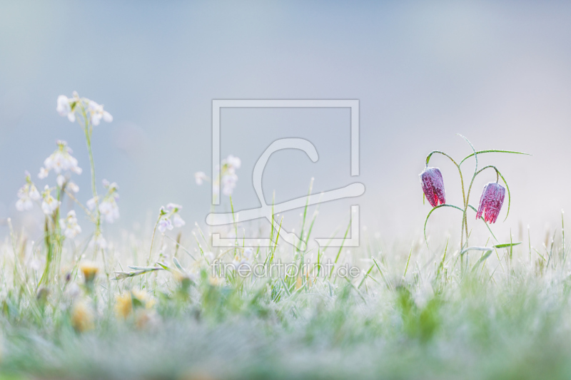 frei w&auml;hlbarer Bildausschnitt f&uuml;r Ihr Bild auf Schieferplatte