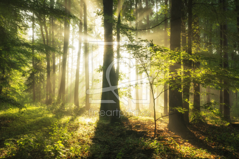 frei wählbarer Bildausschnitt für Ihr Bild auf Schieferplatte