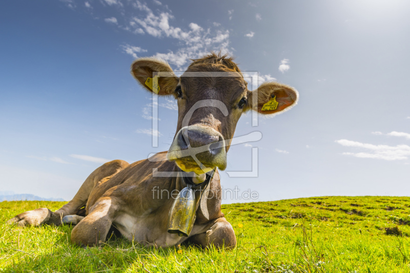 frei wählbarer Bildausschnitt für Ihr Bild auf Schieferplatte