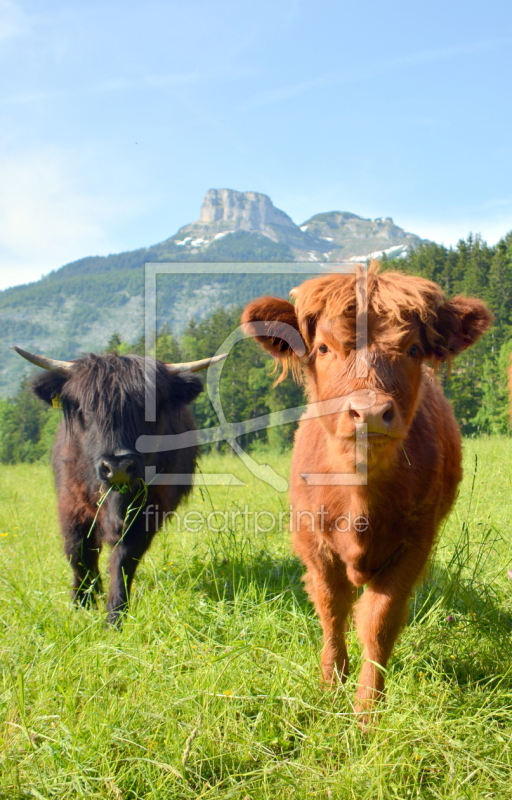 frei wählbarer Bildausschnitt für Ihr Bild auf Schieferplatte