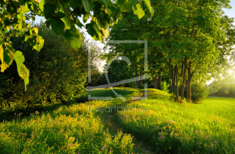 frei w&auml;hlbarer Bildausschnitt f&uuml;r Ihr Bild auf Schieferplatte