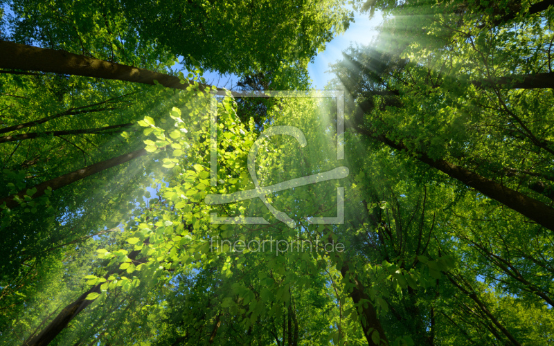 frei wählbarer Bildausschnitt für Ihr Bild auf Schieferplatte