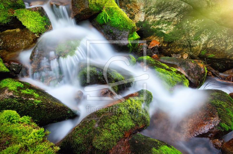 frei wählbarer Bildausschnitt für Ihr Bild auf Schieferplatte