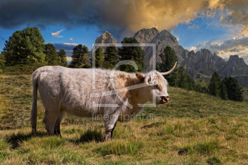 frei wählbarer Bildausschnitt für Ihr Bild auf Schieferplatte