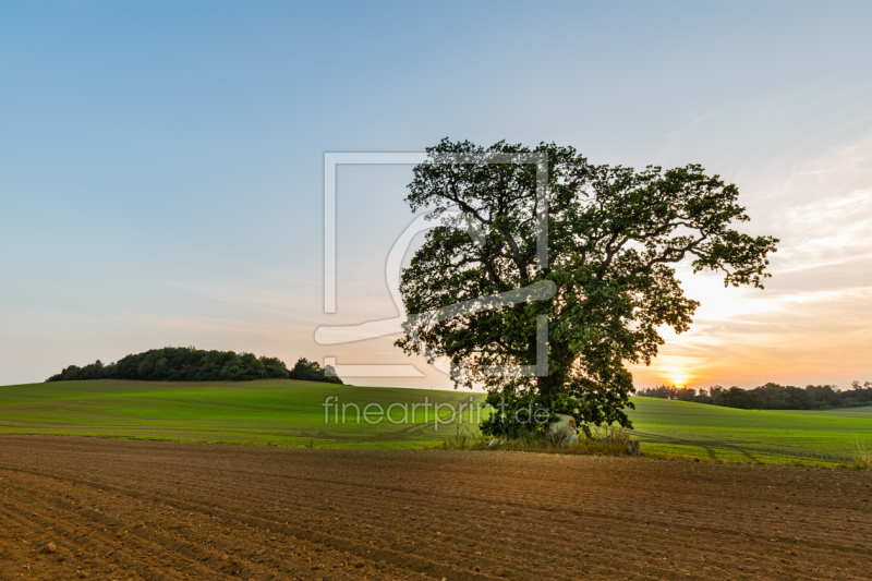 frei wählbarer Bildausschnitt für Ihr Bild auf Schieferplatte