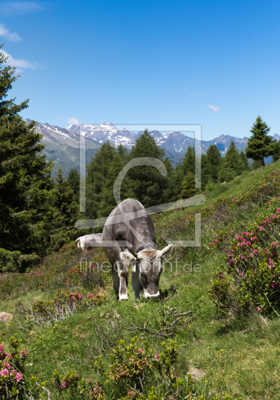 frei wählbarer Bildausschnitt für Ihr Bild auf Schieferplatte
