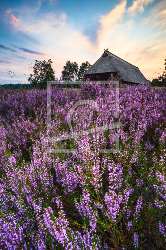 frei w&auml;hlbarer Bildausschnitt f&uuml;r Ihr Bild auf Schieferplatte