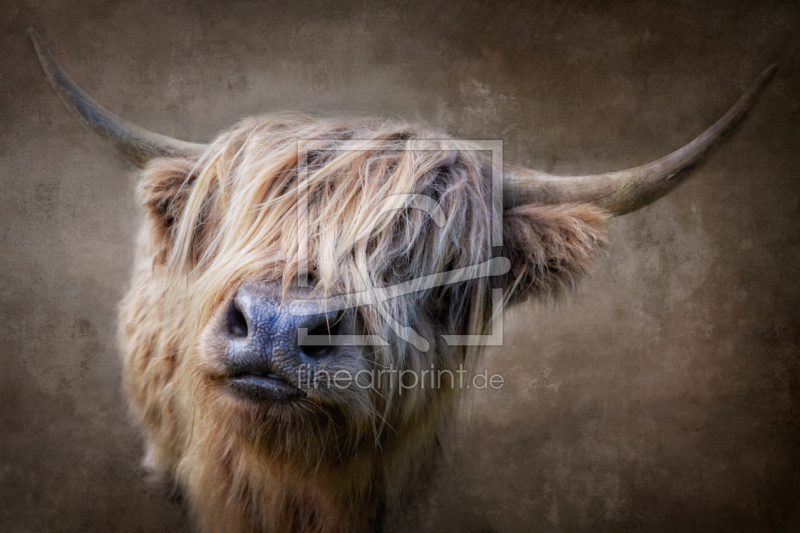 frei wählbarer Bildausschnitt für Ihr Bild auf Schieferplatte