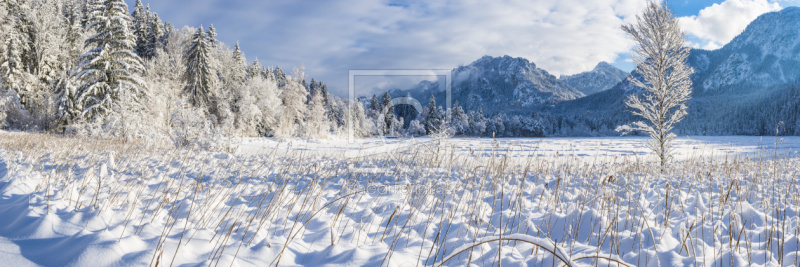 frei wählbarer Bildausschnitt für Ihr Bild auf Schieferplatte