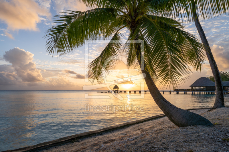 frei wählbarer Bildausschnitt für Ihr Bild auf Schieferplatte