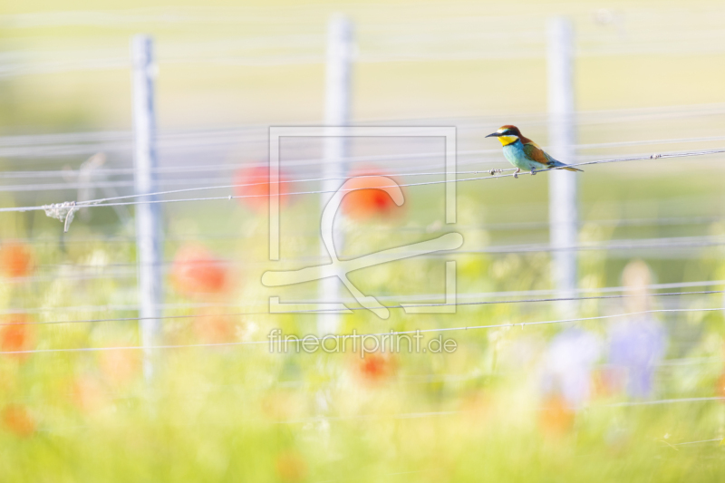 frei w&auml;hlbarer Bildausschnitt f&uuml;r Ihr Bild auf Schieferplatte