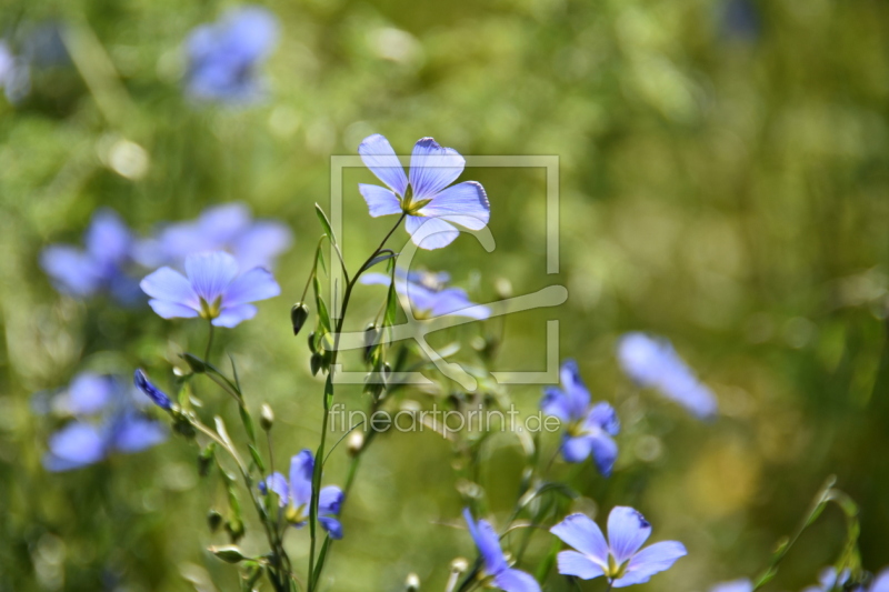 frei w&auml;hlbarer Bildausschnitt f&uuml;r Ihr Bild auf Schieferplatte