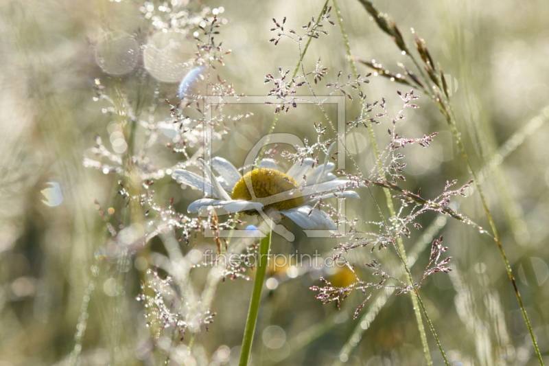 frei wählbarer Bildausschnitt für Ihr Bild auf Schieferplatte