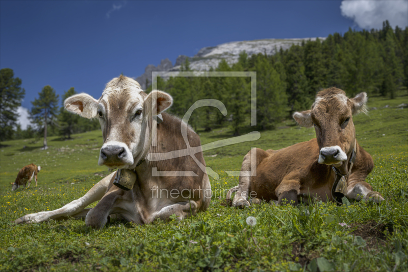 frei wählbarer Bildausschnitt für Ihr Bild auf Schieferplatte