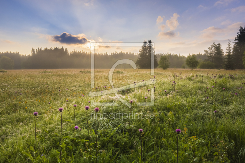 frei wählbarer Bildausschnitt für Ihr Bild auf Schieferplatte
