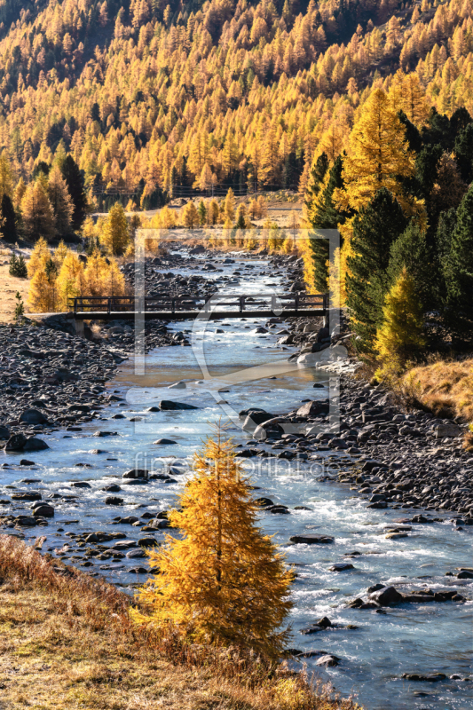 frei wählbarer Bildausschnitt für Ihr Bild auf Schieferplatte