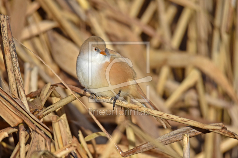 frei w&auml;hlbarer Bildausschnitt f&uuml;r Ihr Bild auf Schieferplatte