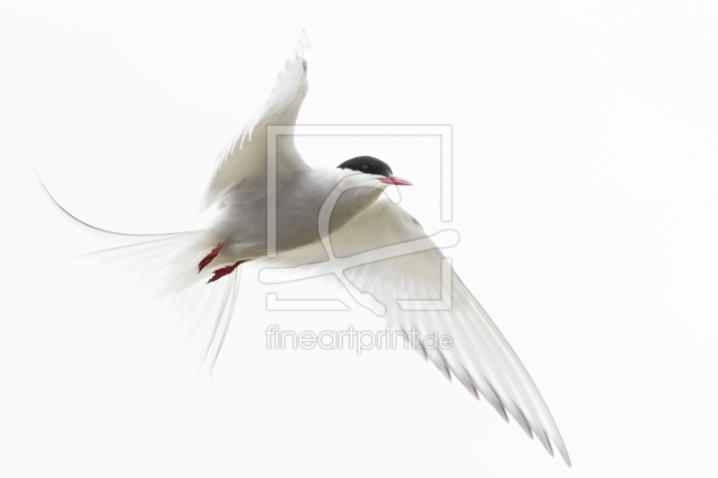 frei wählbarer Bildausschnitt für Ihr Bild auf Schieferplatte