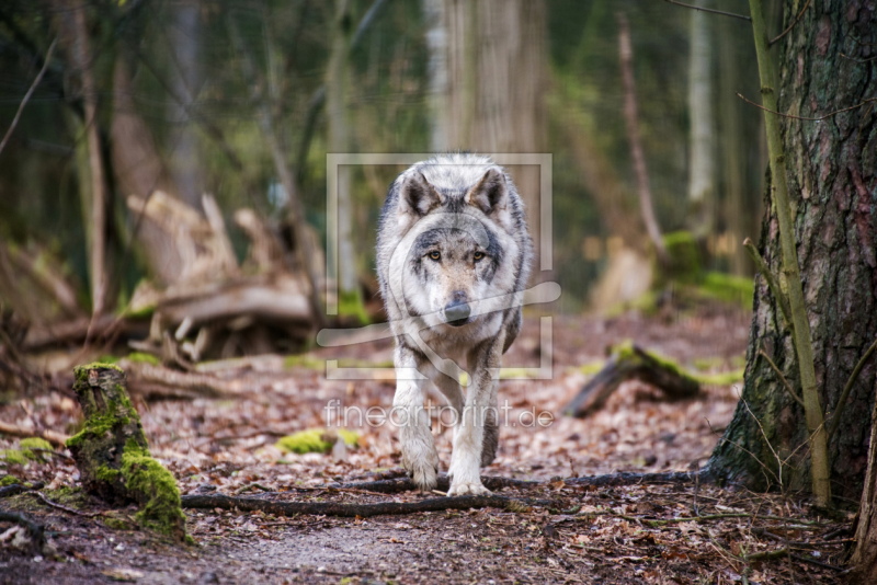 frei wählbarer Bildausschnitt für Ihr Bild auf Schieferplatte