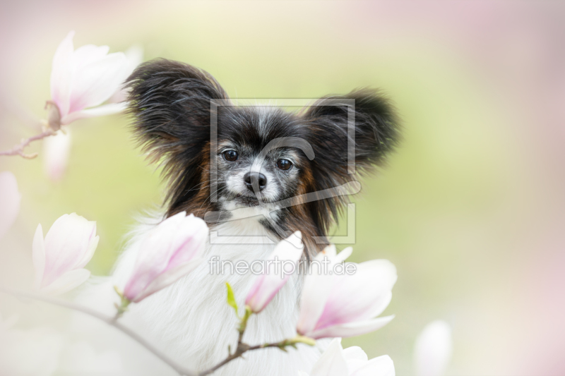 frei wählbarer Bildausschnitt für Ihr Bild auf Schieferplatte