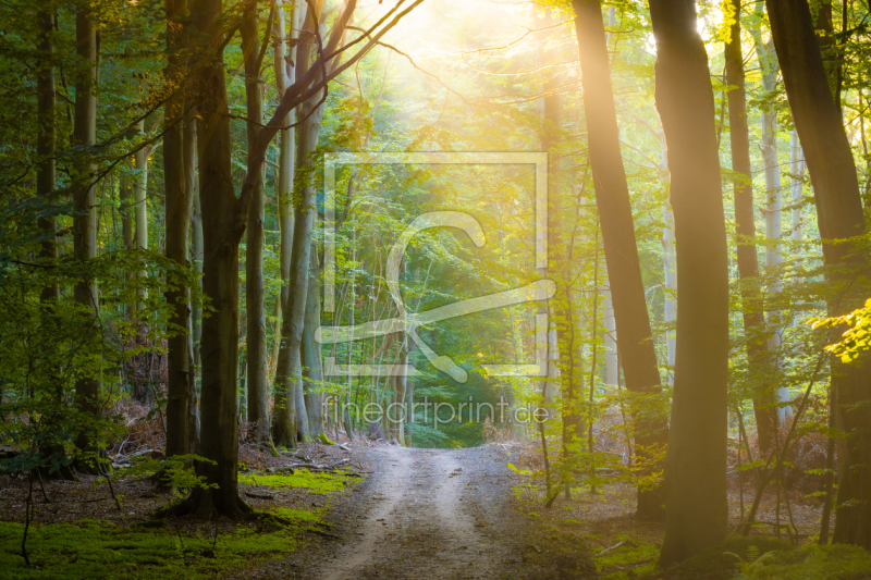 frei w&auml;hlbarer Bildausschnitt f&uuml;r Ihr Bild auf Schieferplatte